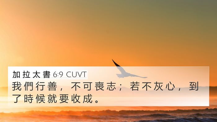 加 拉 太 書 6:9 CUVT Bible Verse Image