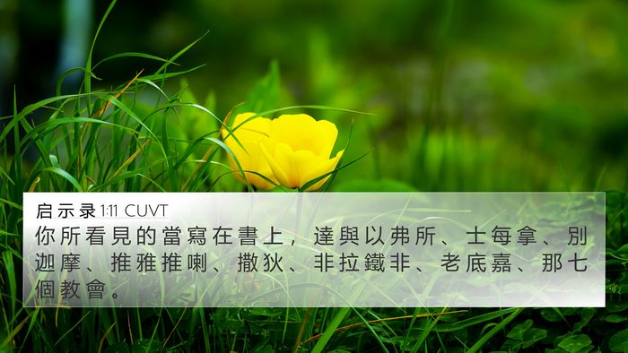 启 示 录 1:11 CUVT Bible Verse Image