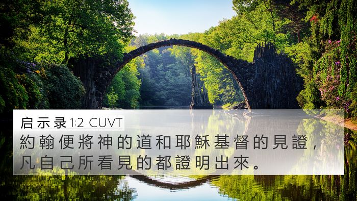 启 示 录 1:2 CUVT Bible Verse Image