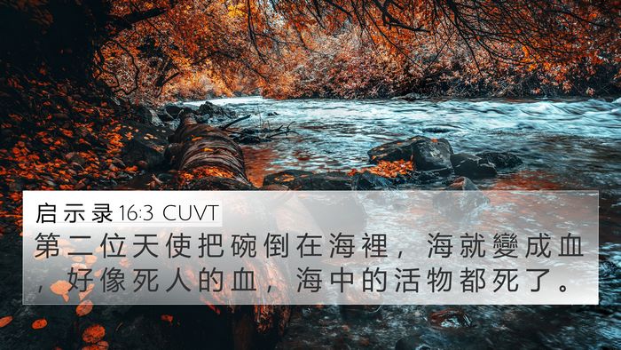 启 示 录 16:3 CUVT Bible Verse Image