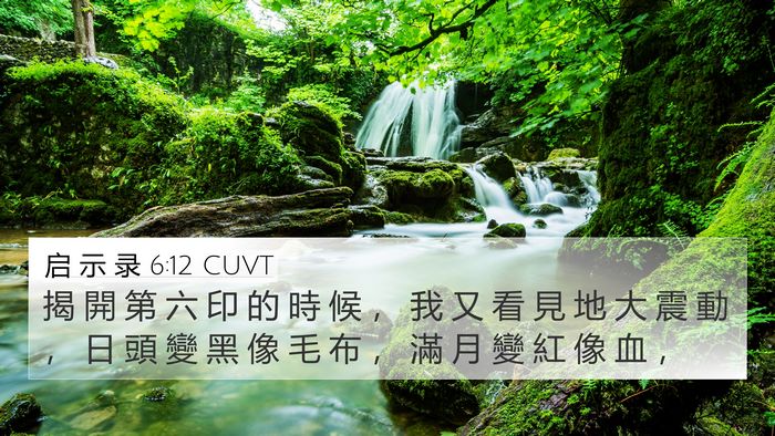 启 示 录 6:12 CUVT Bible Verse Image