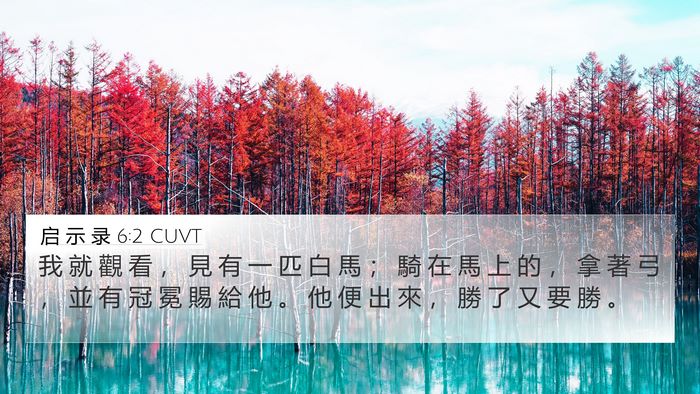 启 示 录 6:2 CUVT 4K Wallpaper - 我 就 觀 看 ， 見 有 一 匹 白 馬 ； - 4K Wallpaper Bible Verse