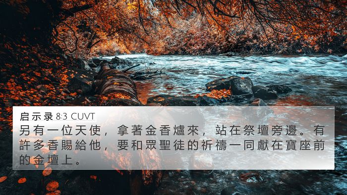 启 示 录 8:3 CUVT Bible Verse Image