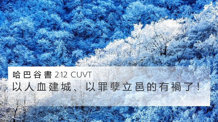 哈 巴 谷 書 2:12 CUVT Bible Verse Image