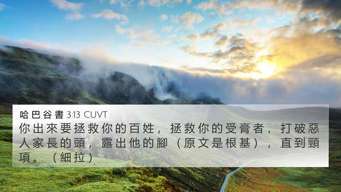 哈 巴 谷 書 3:13 CUVT Bible Verse Image