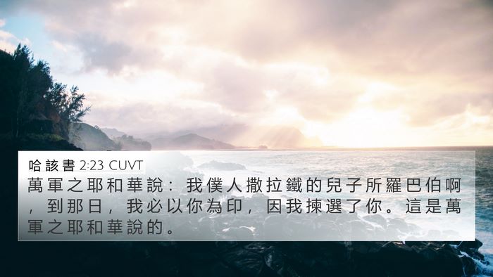 哈 該 書 2:23 CUVT Bible Verse Image