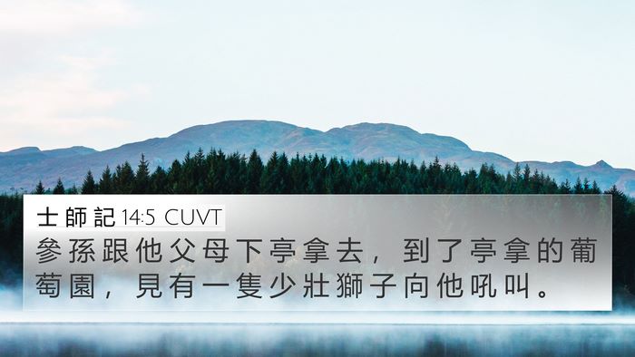 士 師 記 14:5 CUVT Bible Verse Image