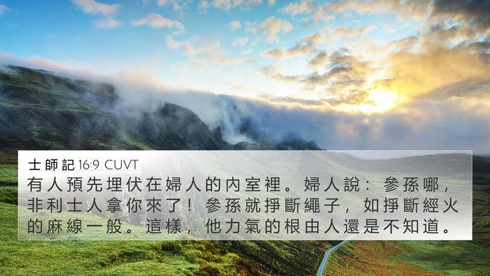 士 師 記 16:9 CUVT 4K Wallpaper - 有 人 預 先 埋 伏 在 婦 人 的 內 室 - 4K Wallpaper Bible Verse