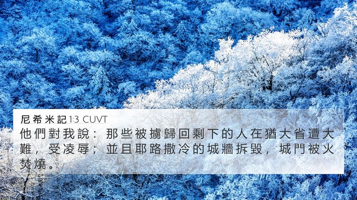 尼 希 米 記 1:3 CUVT Bible Verse Image