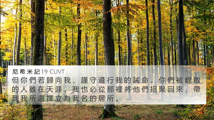 尼 希 米 記 1:9 CUVT Bible Verse Image