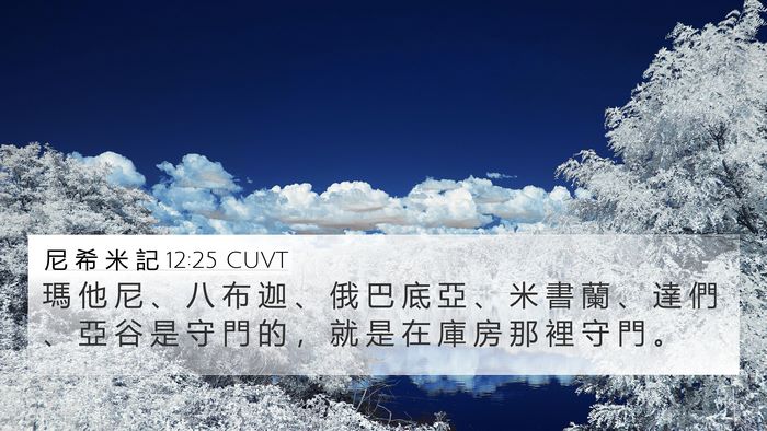 尼 希 米 記 12:25 CUVT Bible Verse Image