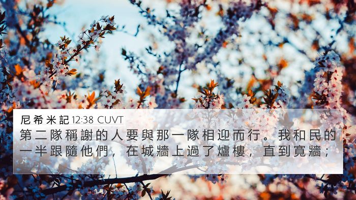 尼 希 米 記 12:38 CUVT Bible Verse Image
