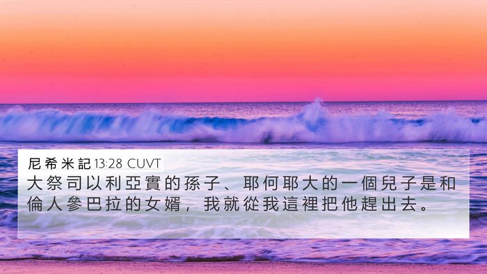 尼 希 米 記 13:28 CUVT Bible Verse Image