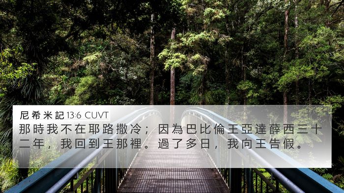 尼 希 米 記 13:6 CUVT Bible Verse Image