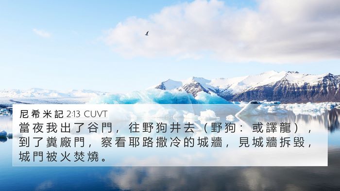 尼 希 米 記 2:13 CUVT Bible Verse Image