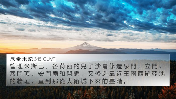 尼 希 米 記 3:15 CUVT Bible Verse Image