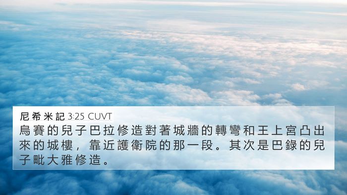 尼 希 米 記 3:25 CUVT Bible Verse Image