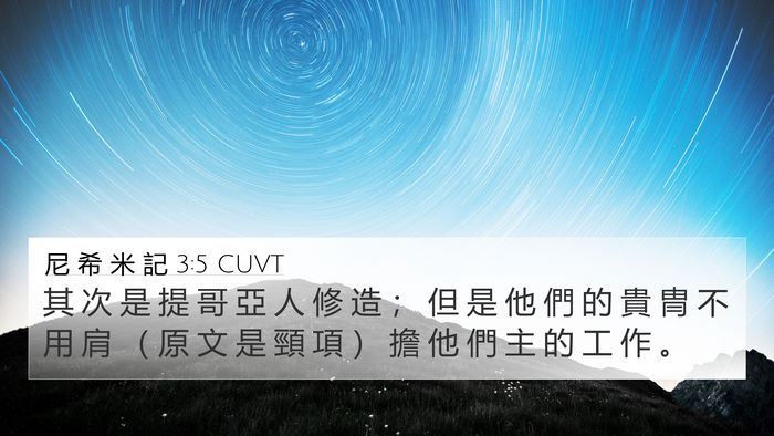 尼 希 米 記 3:5 CUVT 4K Wallpaper - 其 次 是 提 哥 亞 人 修 造 ； 但 是 - 4K Wallpaper Bible Verse