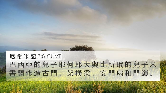 尼 希 米 記 3:6 CUVT Bible Verse Image