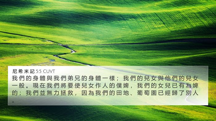 尼 希 米 記 5:5 CUVT Bible Verse Image