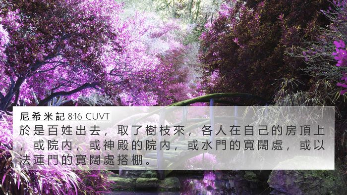尼 希 米 記 8:16 CUVT Bible Verse Image