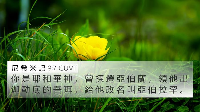 尼 希 米 記 9:7 CUVT Bible Verse Image