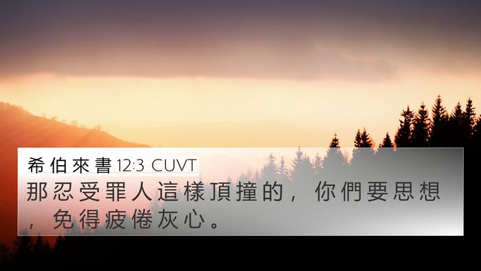 希 伯 來 書 12:3 CUVT 4K Wallpaper - 那 忍 受 罪 人 這 樣 頂 撞 的 ， 你 - 4K Wallpaper Bible Verse