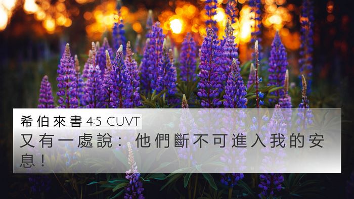希 伯 來 書 4:5 CUVT 4K Wallpaper - 又 有 一 處 說 ： 他 們 斷 不 可 進 - 4K Wallpaper Bible Verse