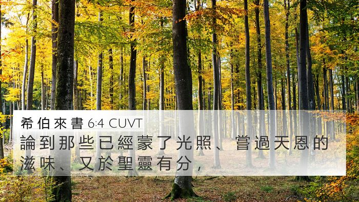 希 伯 來 書 6:4 CUVT Bible Verse Image