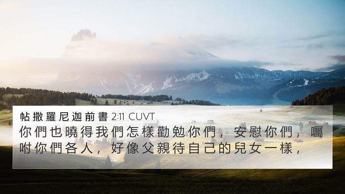 帖 撒 羅 尼 迦 前 書 2:11 CUVT Bible Verse Image