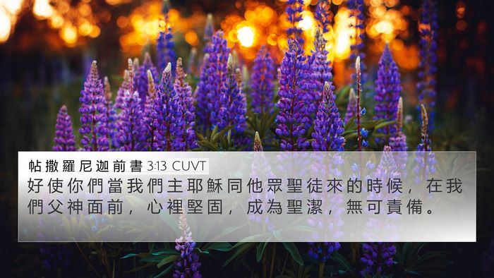 帖 撒 羅 尼 迦 前 書 3:13 CUVT Bible Verse Image