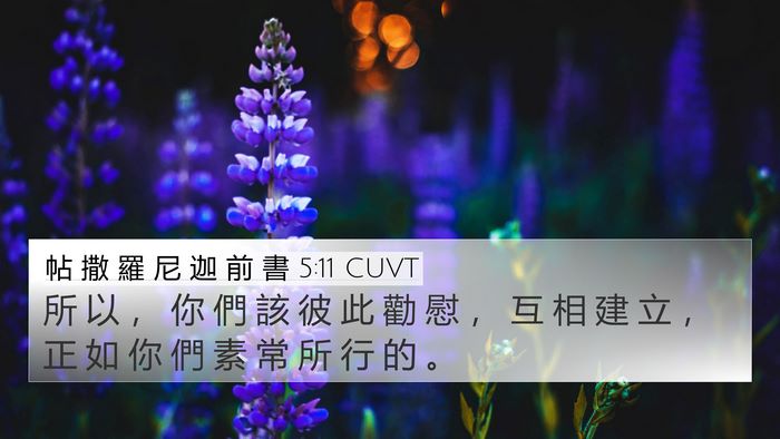 帖 撒 羅 尼 迦 前 書 5:11 CUVT Bible Verse Image