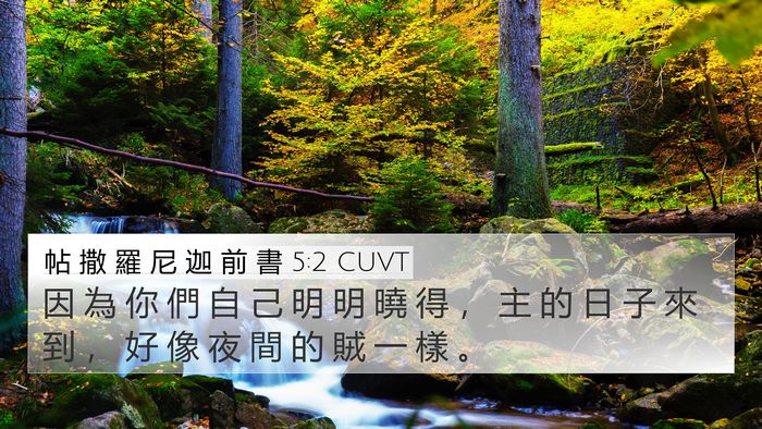 帖 撒 羅 尼 迦 前 書 5:2 CUVT Bible Verse Image