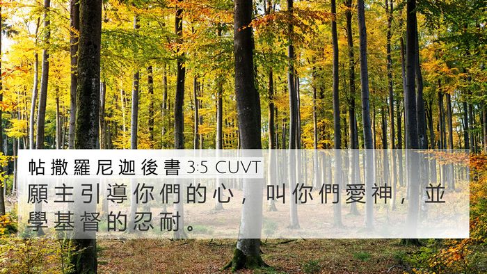 帖 撒 羅 尼 迦 後 書 3:5 CUVT Bible Verse Image