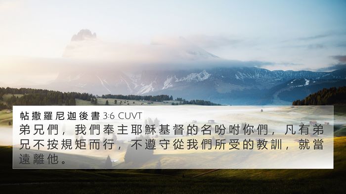 帖 撒 羅 尼 迦 後 書 3:6 CUVT Bible Verse Image