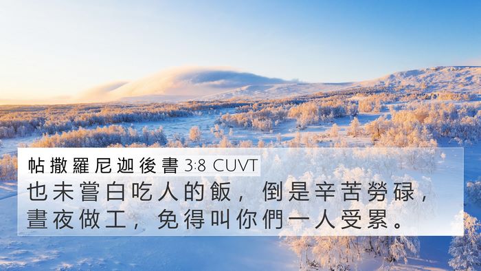 帖 撒 羅 尼 迦 後 書 3:8 CUVT Bible Verse Image