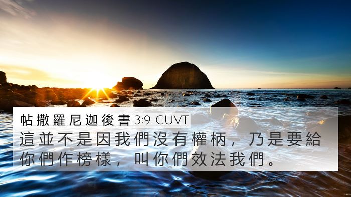 帖 撒 羅 尼 迦 後 書 3:9 CUVT Bible Verse Image
