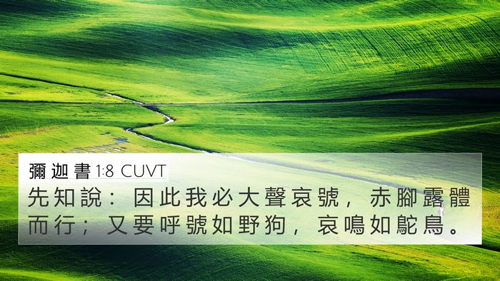 彌 迦 書 1:8 CUVT Bible Verse Image