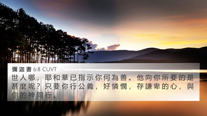 彌 迦 書 6:8 CUVT Bible Verse Image