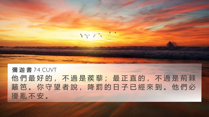 彌 迦 書 7:4 CUVT Bible Verse Image