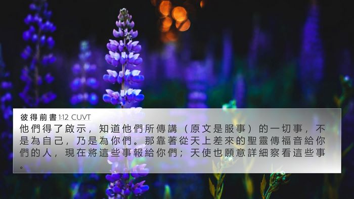彼 得 前 書 1:12 CUVT Bible Verse Image