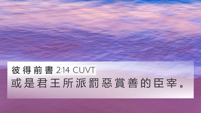 彼 得 前 書 2:14 CUVT Bible Verse Image