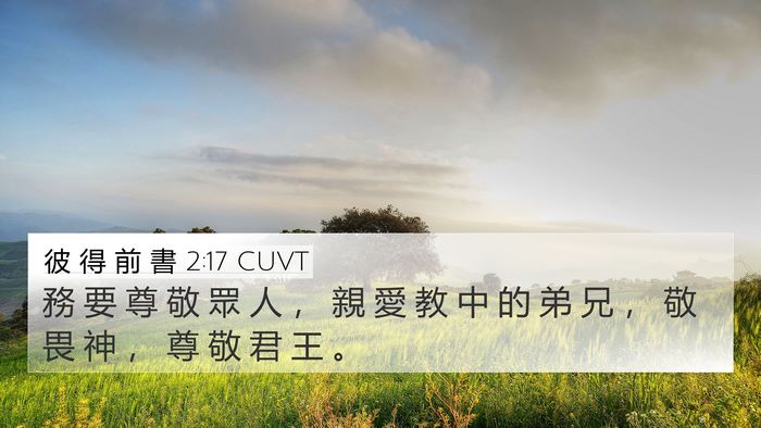 彼 得 前 書 2:17 CUVT Bible Verse Image
