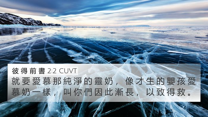 彼 得 前 書 2:2 CUVT Bible Verse Image