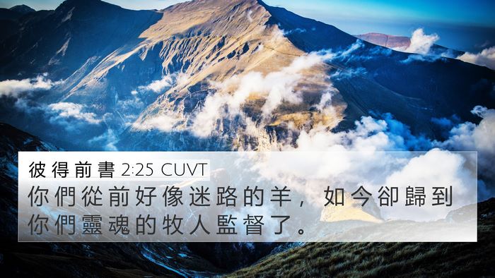 彼 得 前 書 2:25 CUVT Bible Verse Image