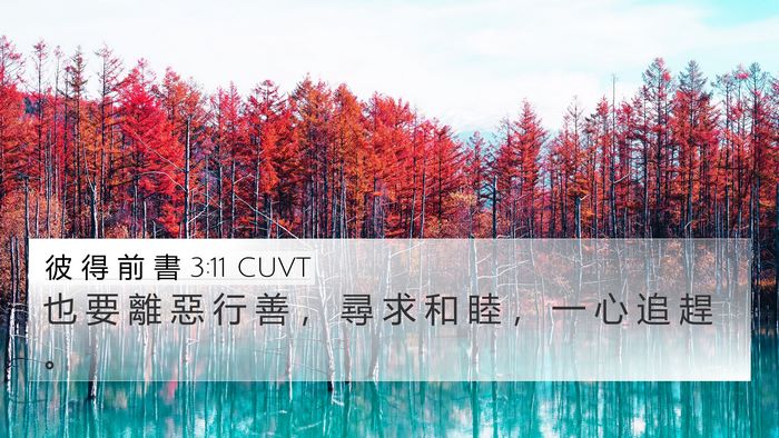 彼 得 前 書 3:11 CUVT Bible Verse Image