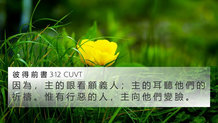 彼 得 前 書 3:12 CUVT Bible Verse Image