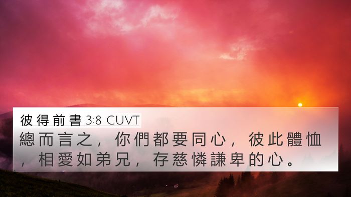 彼 得 前 書 3:8 CUVT Bible Verse Image