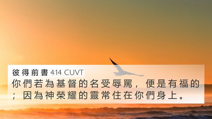 彼 得 前 書 4:14 CUVT Bible Verse Image