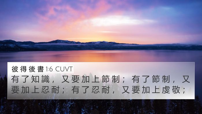 彼 得 後 書 1:6 CUVT Bible Verse Image